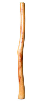 Medium Size Natural Finish Didgeridoo (TW1684)